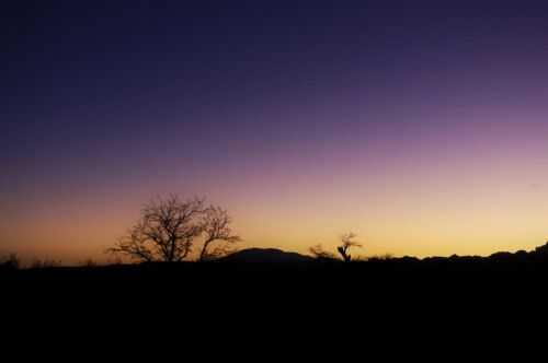 TREKKING NEL DESERTO DI ATACAMA 2015